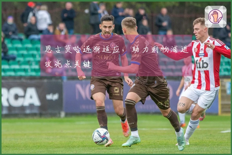 恩古莫哈逐渐适应，助力利物浦进攻亮点关键