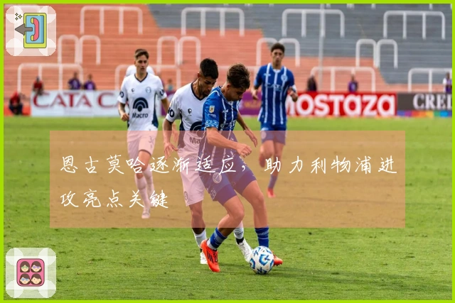 恩古莫哈逐渐适应，助力利物浦进攻亮点关键